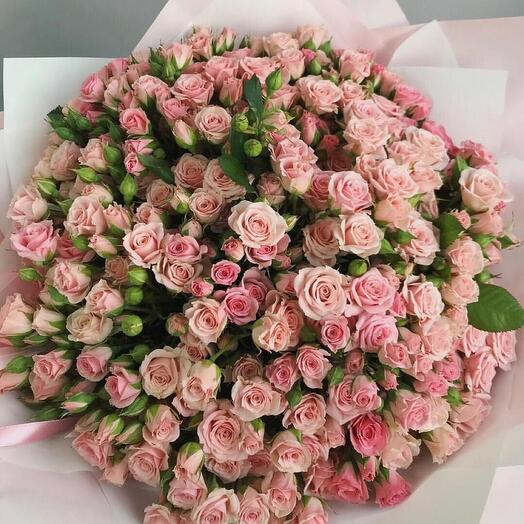 Кустовые розы розовые