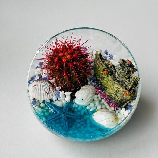 A red cactus in a florarium with a submerged antique ship