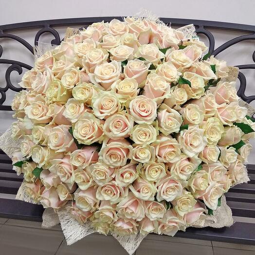 Ramo " Talea "(101 rosas - 50 cm.)