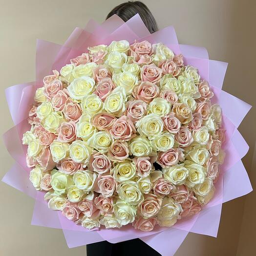 101 Нежная роза🌺
