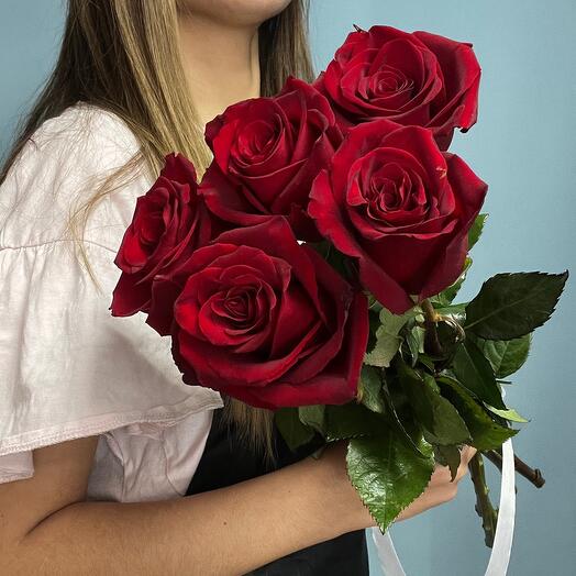 5 rosas rojas Ecuador
