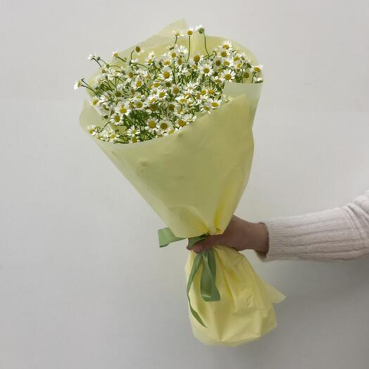 Весенний букет ромашек S 🥰