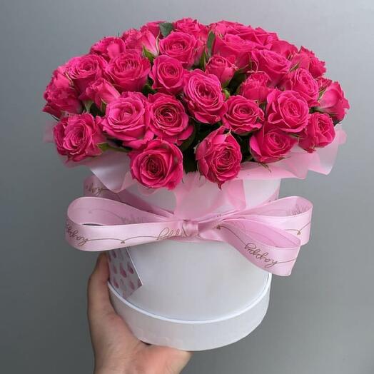 Bush rose in a box