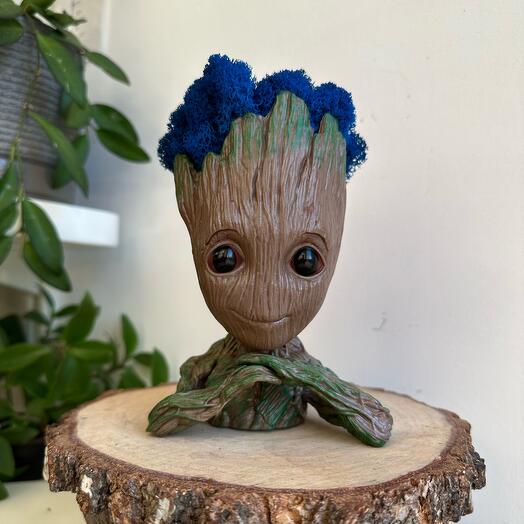 Groot con musgo estabilizado