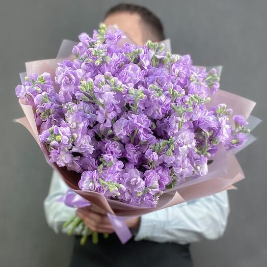 Монобукет из 9 кустовых маттиол wf003