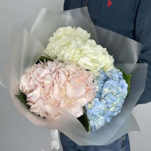 Bouquet of hydrangeas