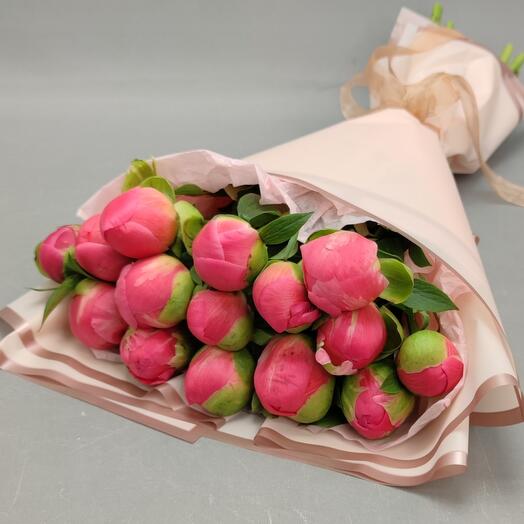 Peonías Coral (Holanda)15pcs