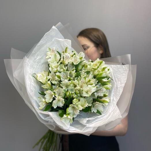 Альстромерия L (19)