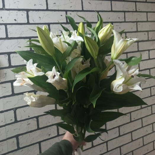 Monobucket of white lilies