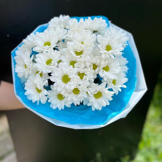 Романтичные ромашки