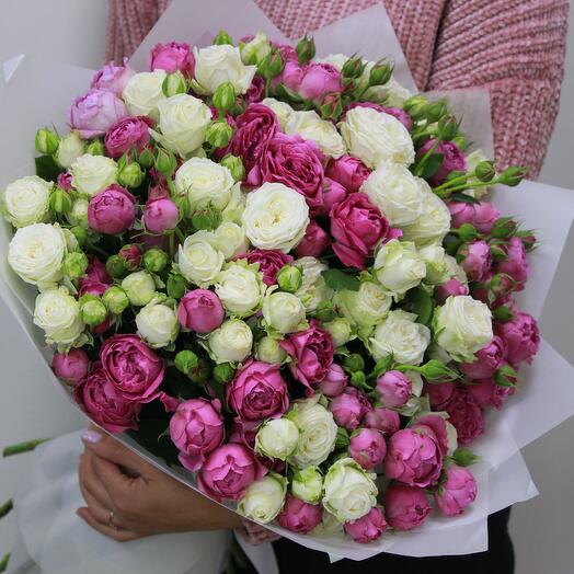 29 bush roses