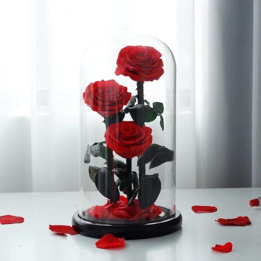 XXL 3 Head Forever Rose in Glass
