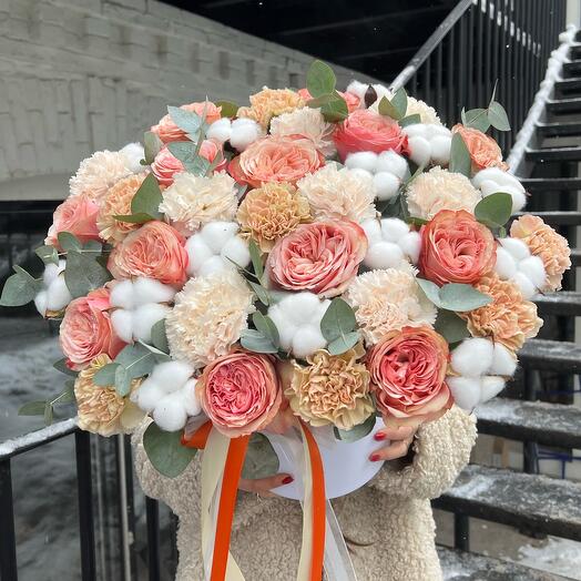 Apricot