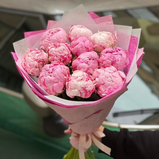 Пионы премиум Сара Бернар