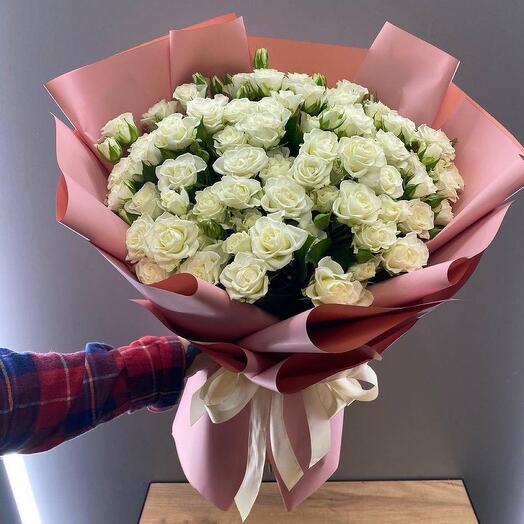 White bush rose