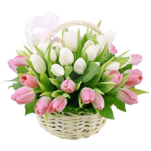 33 Tulip Basket