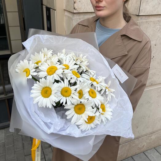Ромашки
