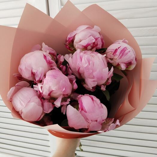 Pink peonies