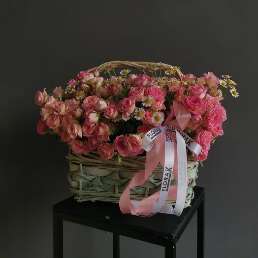 Pink Cheops x19 Basket with Matriacaria