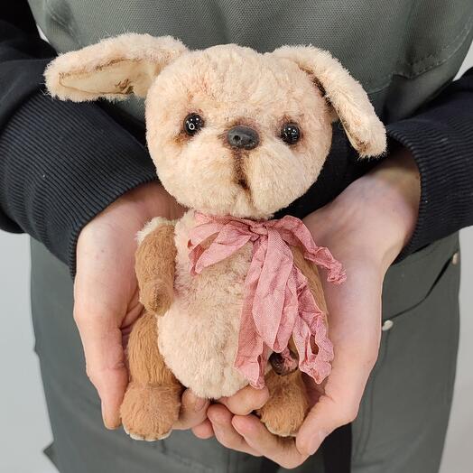 The author's toy Barbos