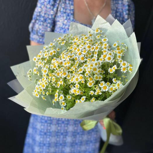 Летний букет полевых ромашек🌸030