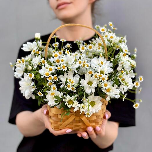 Летняя корзинка ромашек