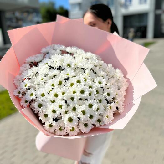 Букет гигант из 25 кустовых хризантем