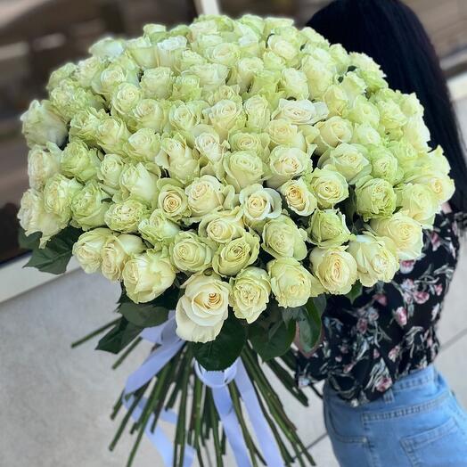 Белые розы 101 шт