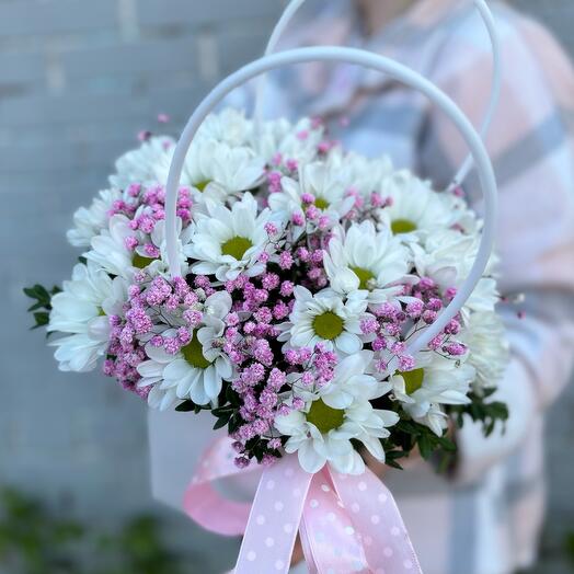 A box with chamomile chrysanthemum and flower gypsophila