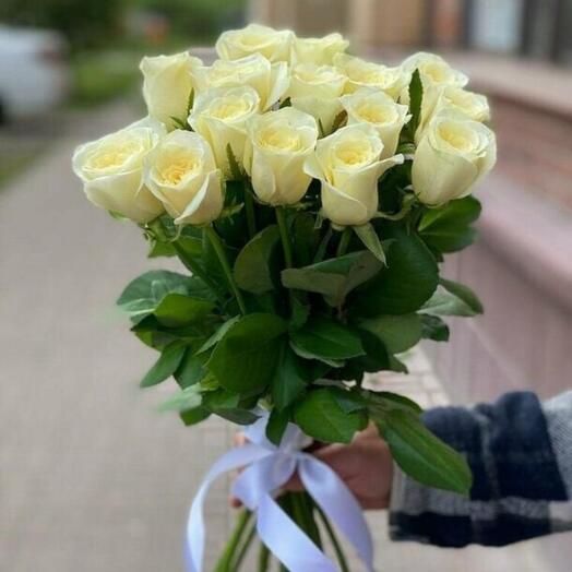 Белая Роза 15