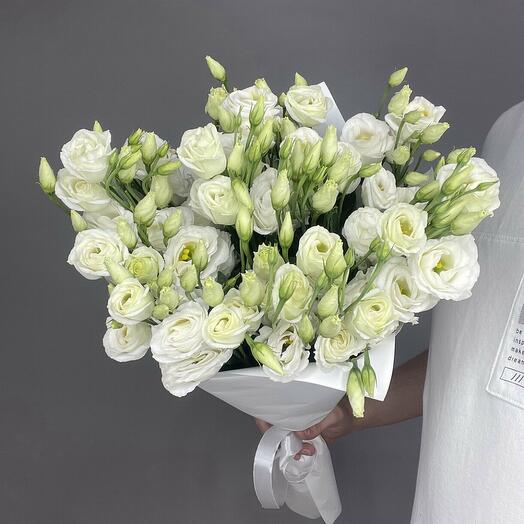 Эустома белая