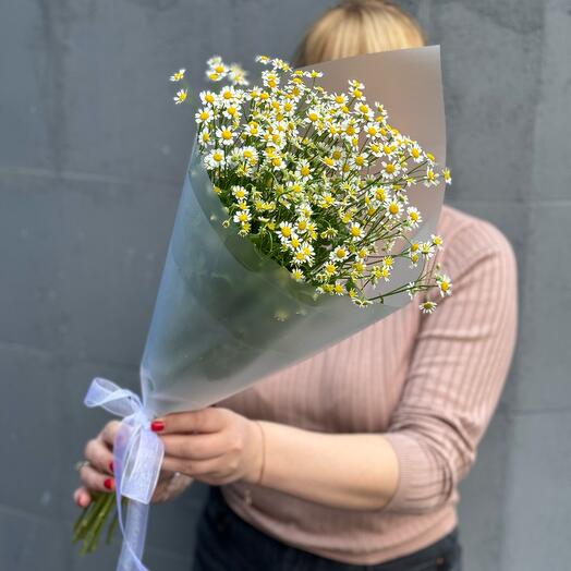Ромашки