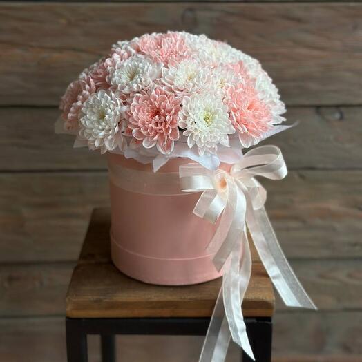 Altai Chrysanthemum Box