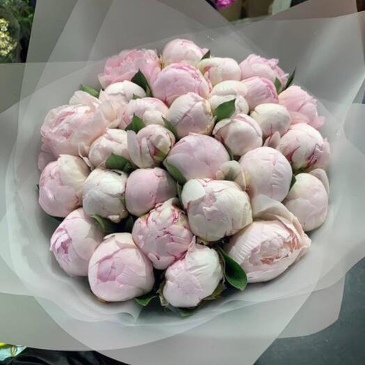 Bouquet of pink peonies