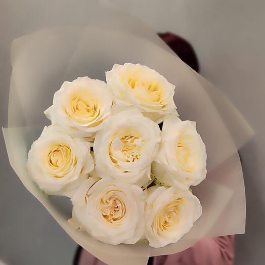 Пионовидные розы кремовые  (7шт)