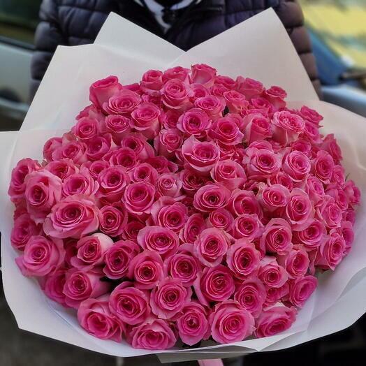 Pink roses