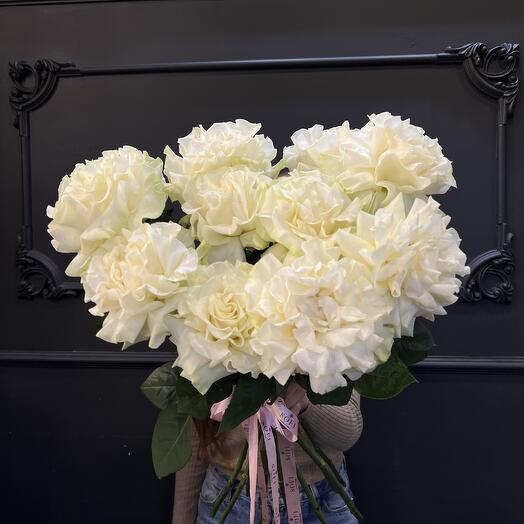 11 French white roses