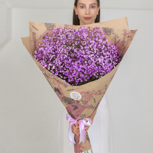 💜Гипсофила фиолетовая ПРОВАНС💜