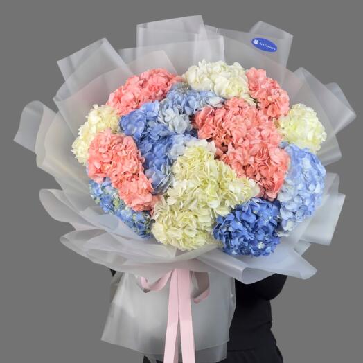 Букет из 15 Гортензии микс
