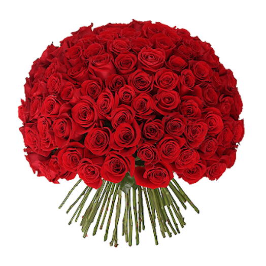 100 Red Roses with Hand Tied Bouquet