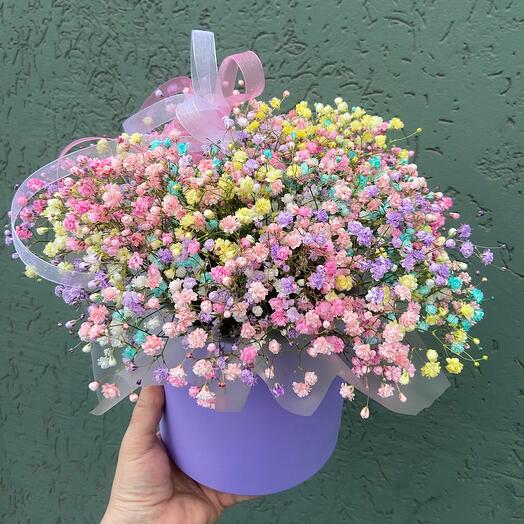 Фиалковый блеск