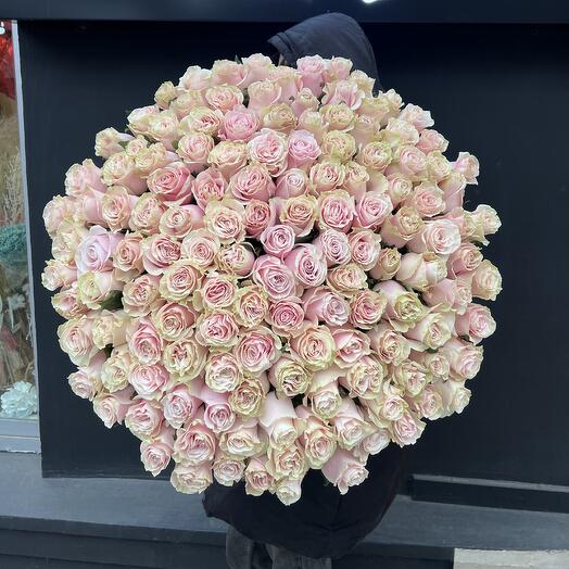 150 pink mondial