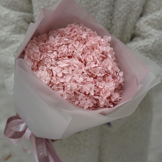 PINK hydrangea