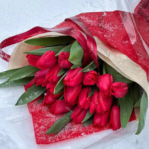 Красные тюльпаны