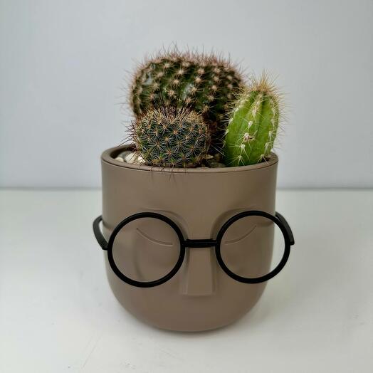 Cactus Steve Gray