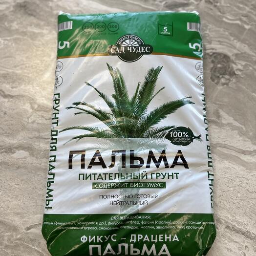 Грунт для пальм