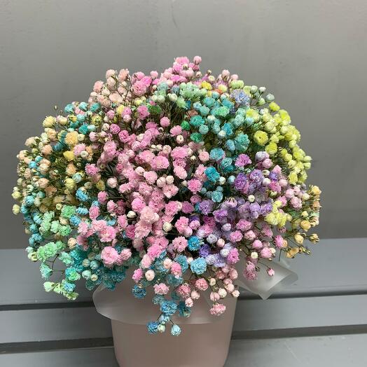 Композиция 149