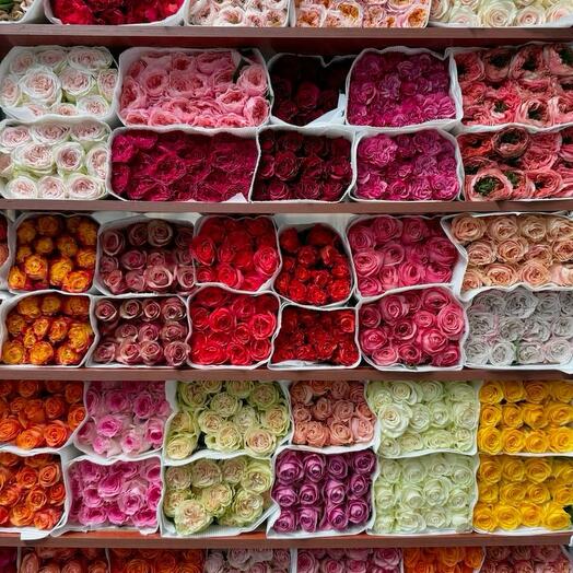 Цветы для дома в пачках 25 Голландских роз