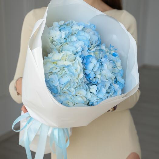 Букет из голубых гортензий (3шт)