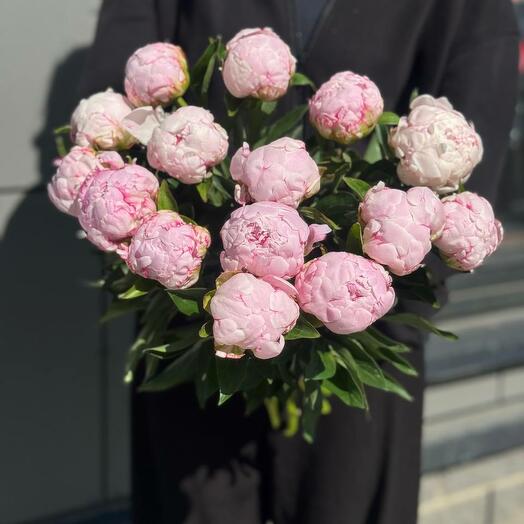 Пионы розовые 15